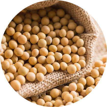 为了您的食材健康